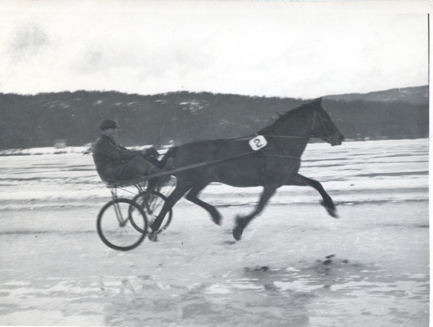 Monty och Teodor Nilsson